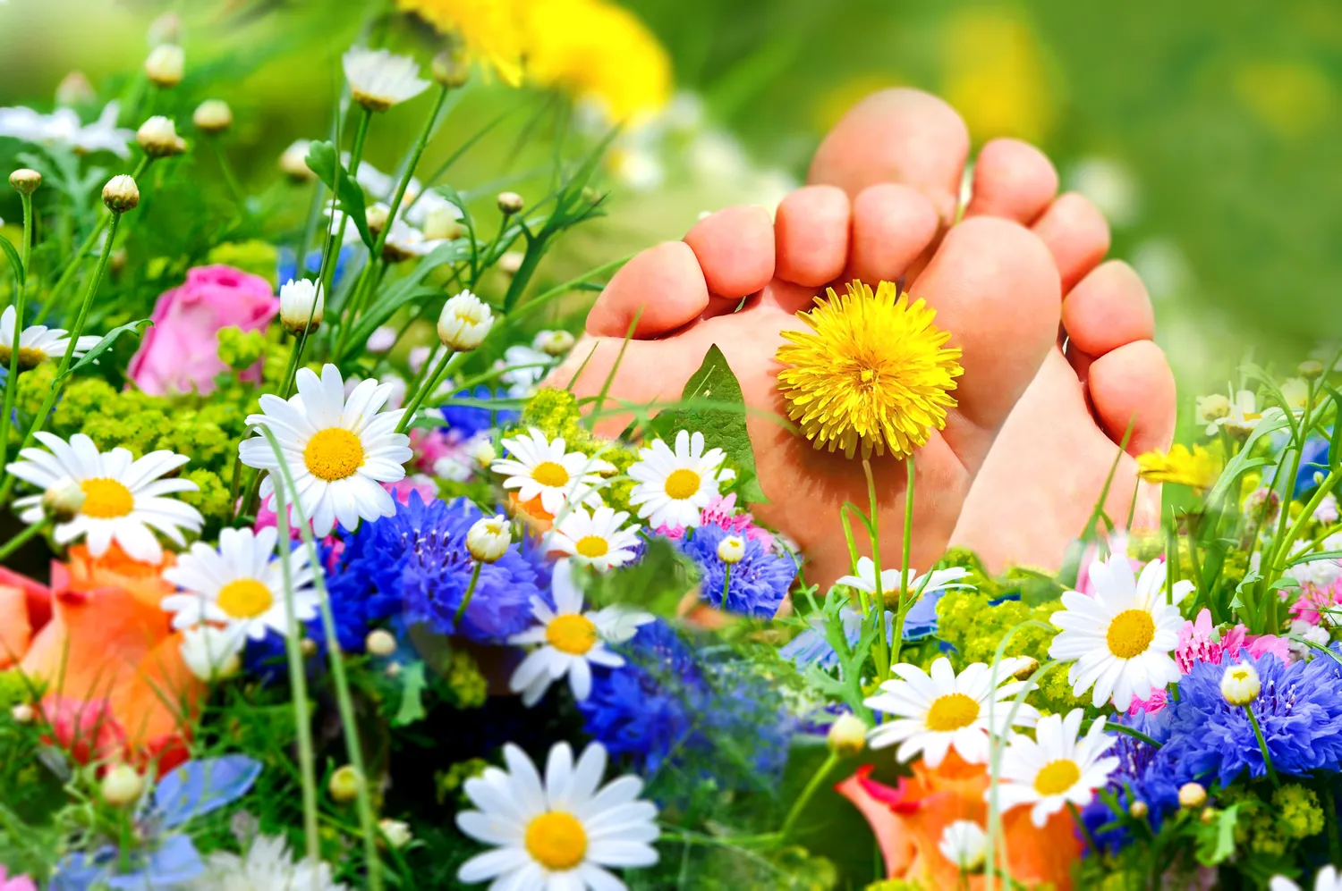 Na problemy ze stopami - podologia